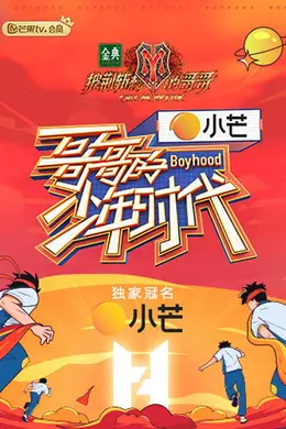 哥哥的少年时代课间版封面图