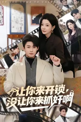 让你来开锁，没让你来抓奸啊海报图片