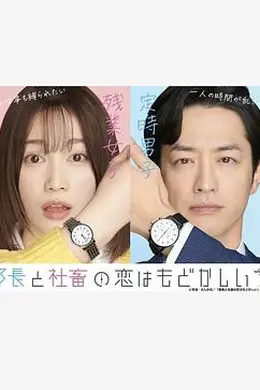 部长和社畜的恋情令人着急海报图片