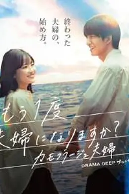 再做一次夫妇的夫妇海报图片