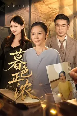 暮色正浓封面图