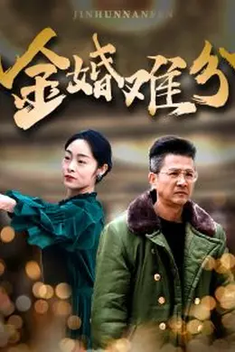 金婚难分海报图片