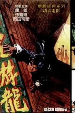 壁虎遊龍海报图片