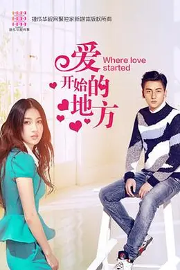 爱开始的地方封面图