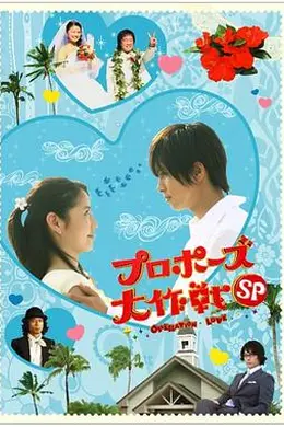 求婚大作战特别篇封面图