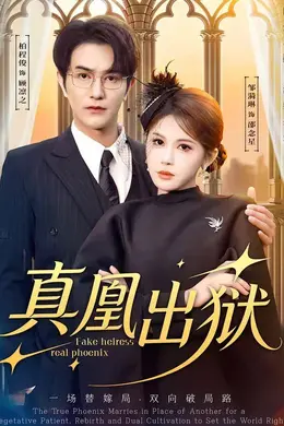 真凰出狱海报图片