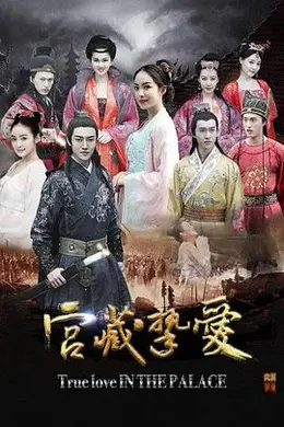 宫藏挚爱封面图