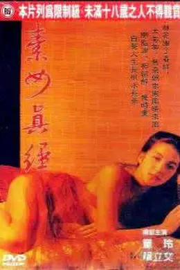 素女经之挑情宝鉴封面图