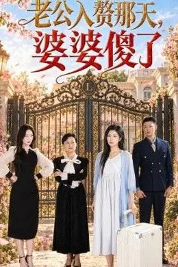老公入赘那天，婆婆傻了封面图
