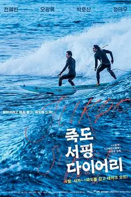 竹岛冲浪日记封面图