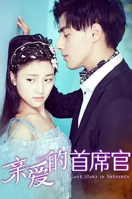 亲爱的首席官封面图