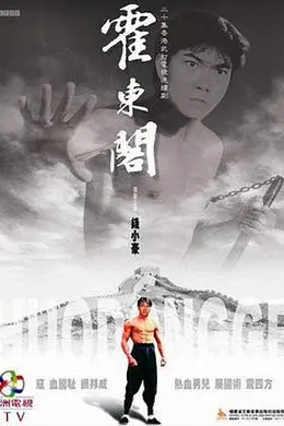 霍东阁国语封面图