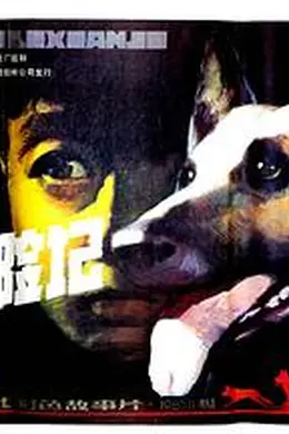 狼犬历险记封面图