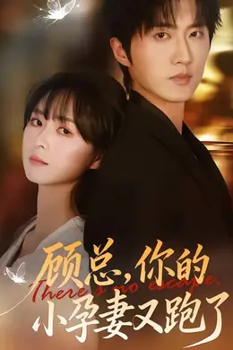 顾总，你的小孕妻又跑了封面图