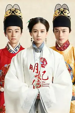 女医明妃传封面图