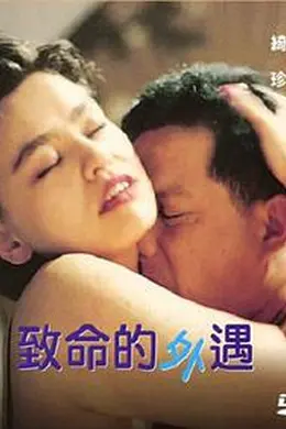 致命的外遇封面图