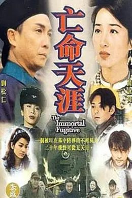 亡命天涯海报图片