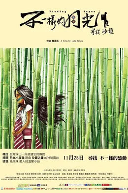 不一样的月光封面图