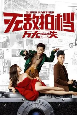 无敌拍档之万无一失封面图