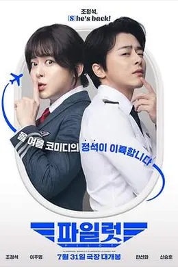 飞行员2024封面图