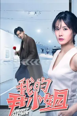 我的尹小姐封面图