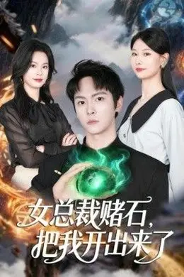女总裁赌石，把我开出来了封面图