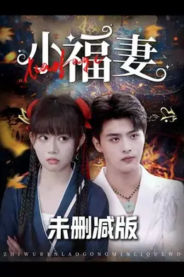 小福妻海报图片