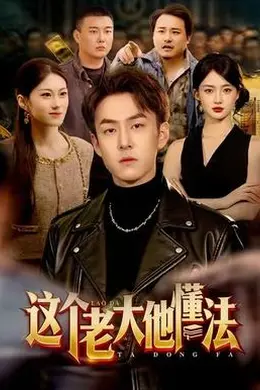 这个老大他懂法封面图