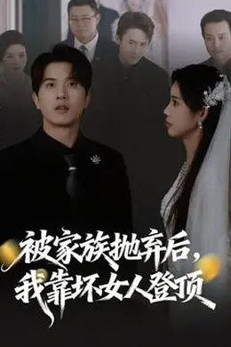 被家族抛弃后，我靠坏女人登顶海报图片