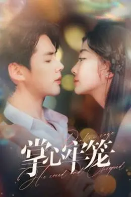 掌心牢笼海报图片