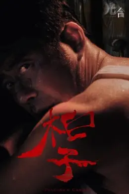 光合计划封面图