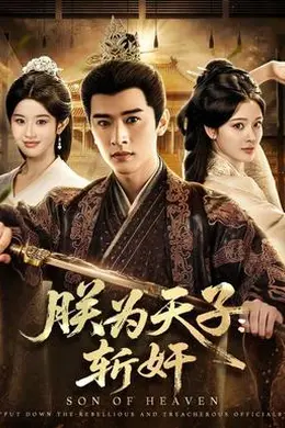 朕为天子：斩奸封面图