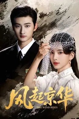 风起京华封面图