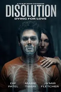 溶解(2026)封面图