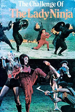 浪女神龙剑封面图