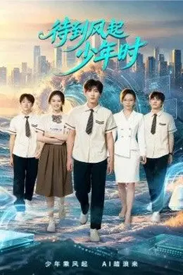 待到风起少年时封面图