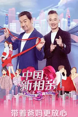 中国新相亲 第四季封面图