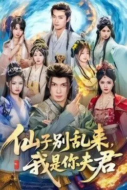 仙子别乱来，我是你夫君封面图