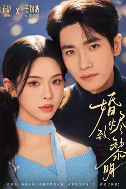 婚烬致黎明封面图