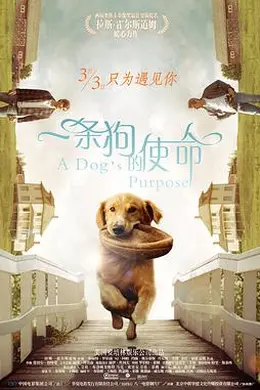 一条狗的使命国语封面图