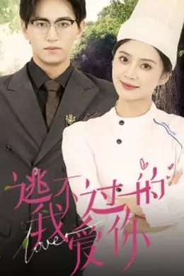 逃不过的我爱你海报图片