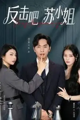 反击吧！苏小姐海报图片
