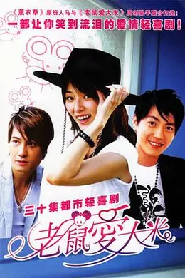 老鼠爱大米封面图