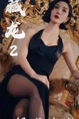 藏龙2银龙出水海报图片