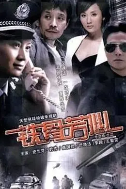 铁骨芳心封面图