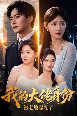我的大佬身份被老婆曝光了封面图