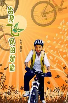 给我飞翔的翅膀封面图