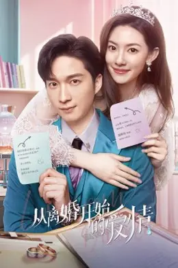 从离婚开始的爱情封面图