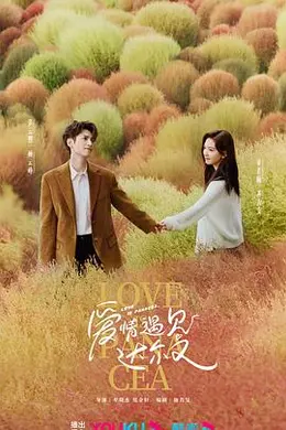 治愈系恋人封面图