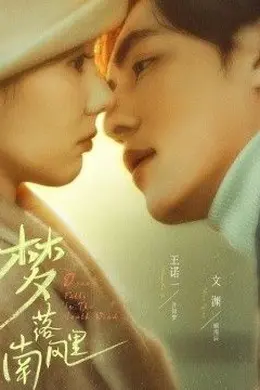 梦落南风里封面图
